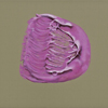 Zielscheibe 033 (Fleck 7)
