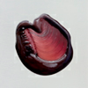 oily liquid black